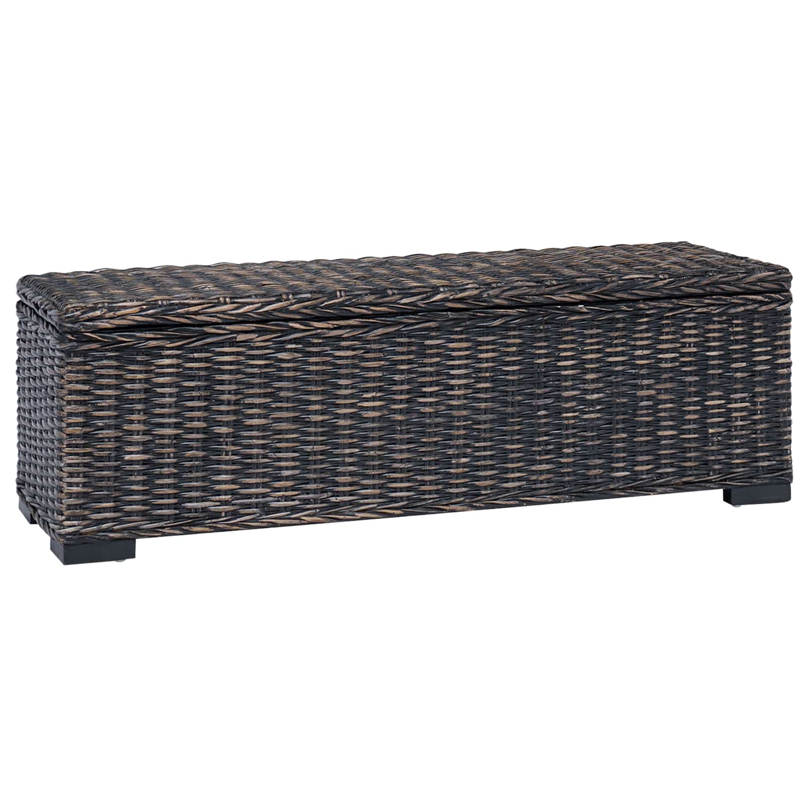 Aufbewahrungsbox Schwarz 110 x 35 x 45 cm